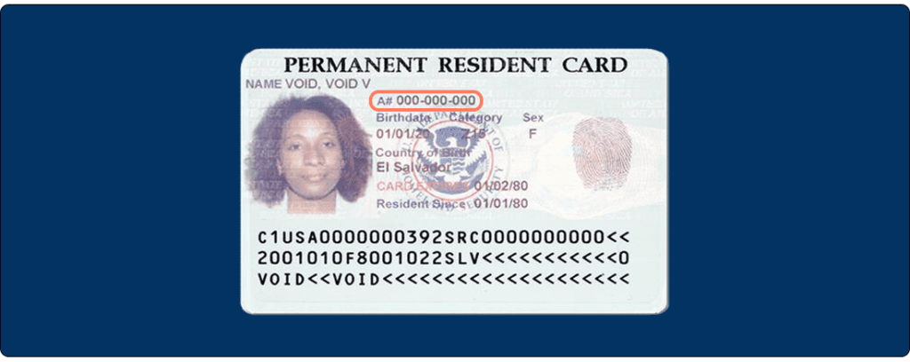 what-is-an-alien-registration-number-2022
