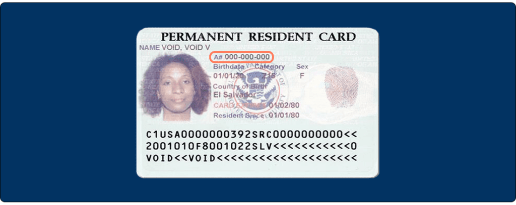 Alien Registration Number How To Find It On Your Immigration 